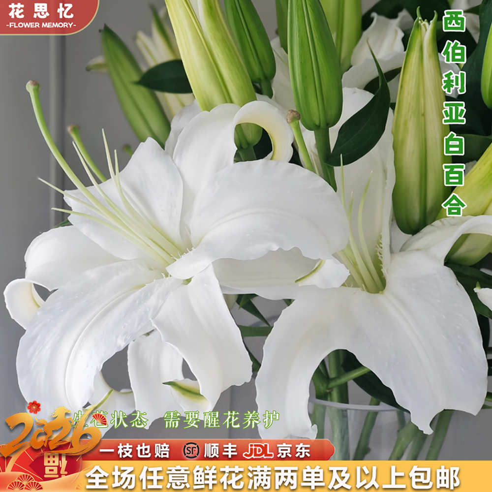 香水百合『白色西伯利亚百合6-8朵』不少于2枝 云南鲜切花 满两单鲜花顺丰京东送货上门满三单送花瓶直播次日达