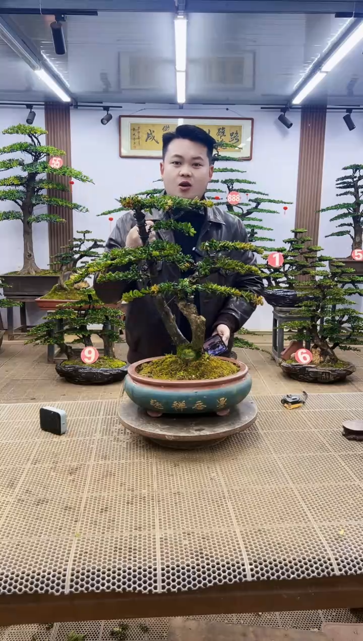 【闪购商品】00000000000