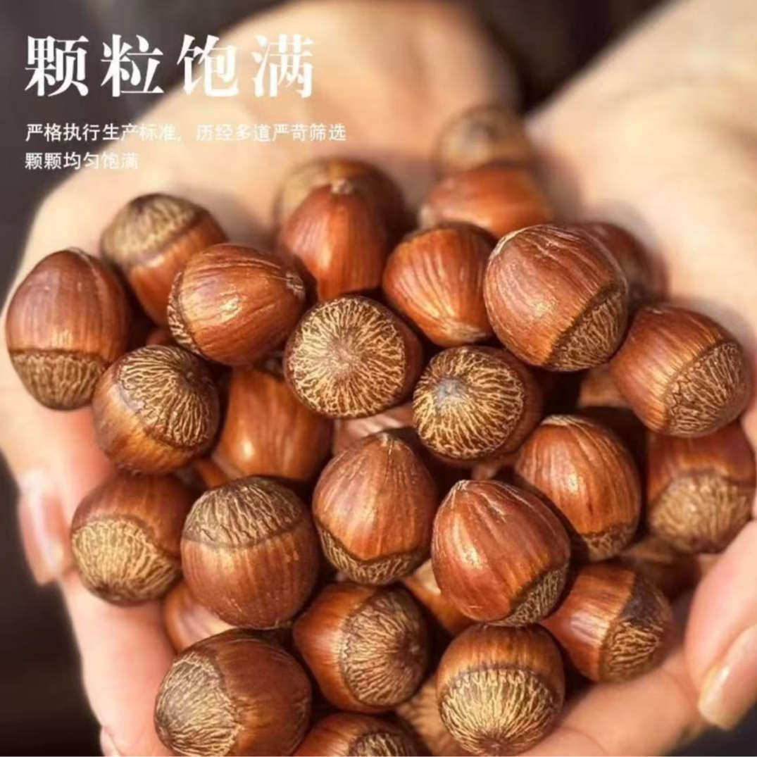 薄皮大果熟榛子（达维）5斤送钳子