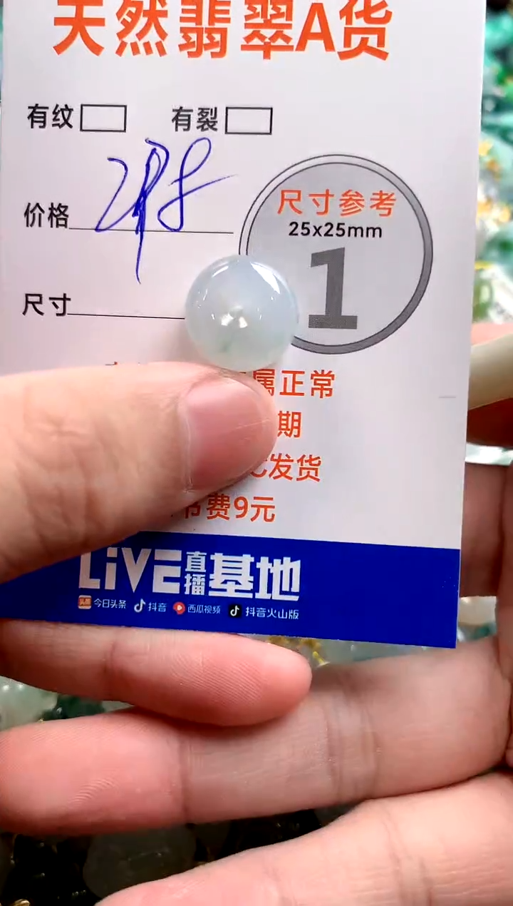 颈饰未镶嵌翡翠0484025614