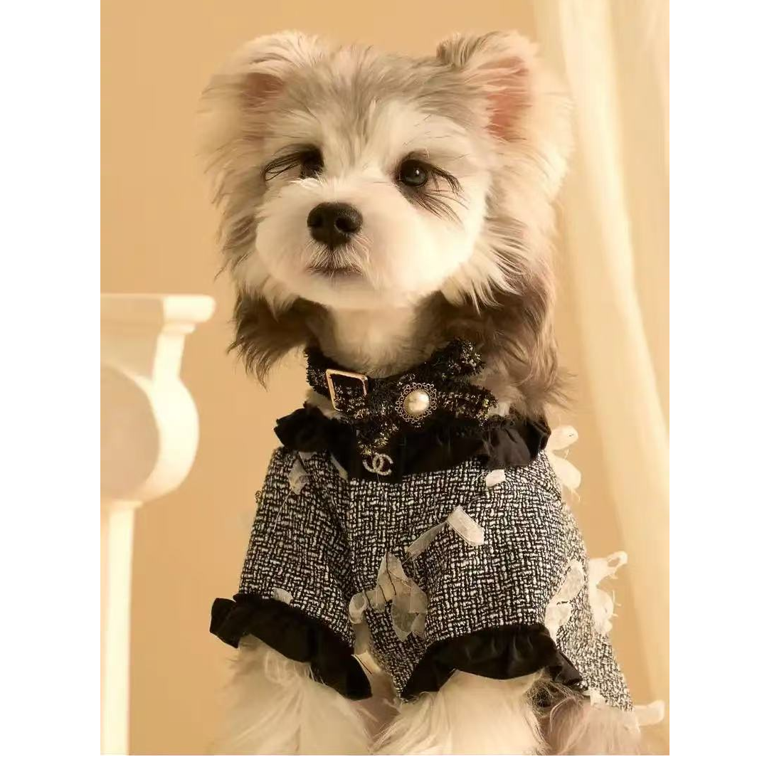{万美犬舍}T狗狗活体