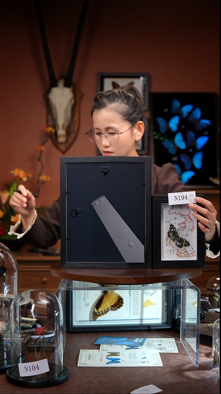 N194      华庆  蛾子