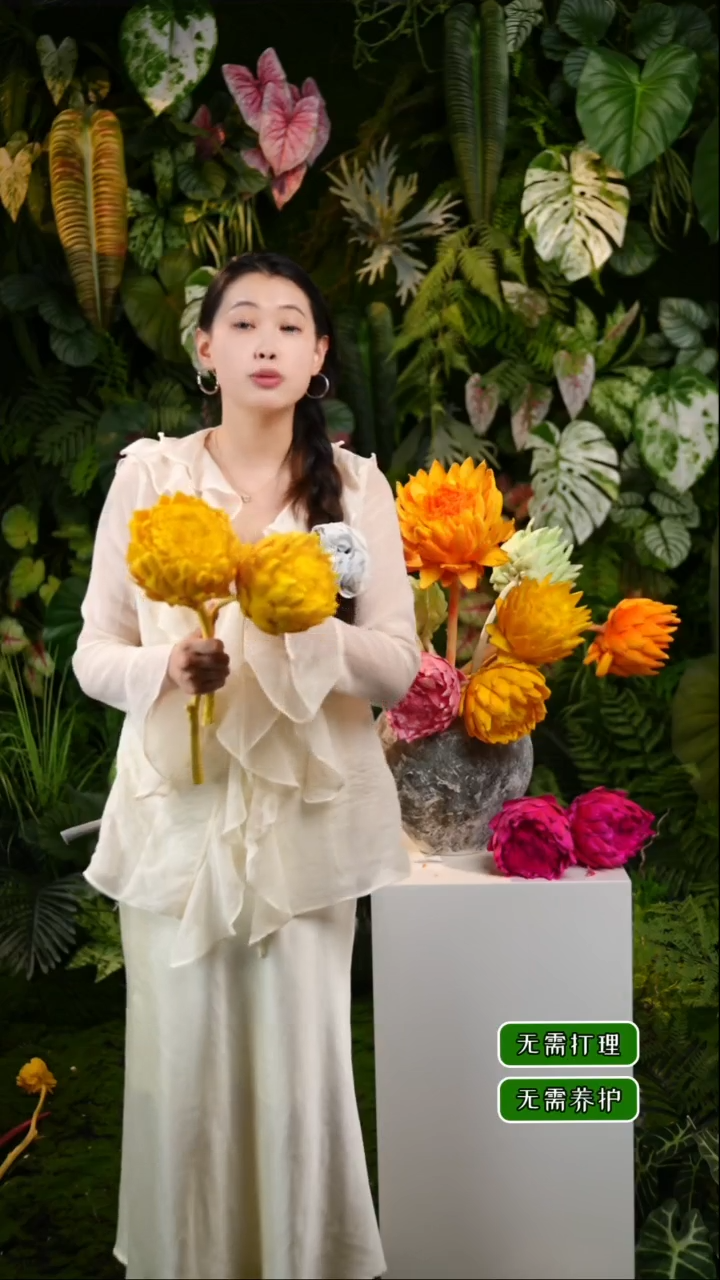 永生花洋蓟柠檬黄2枝发货直径不低于10cm不售后