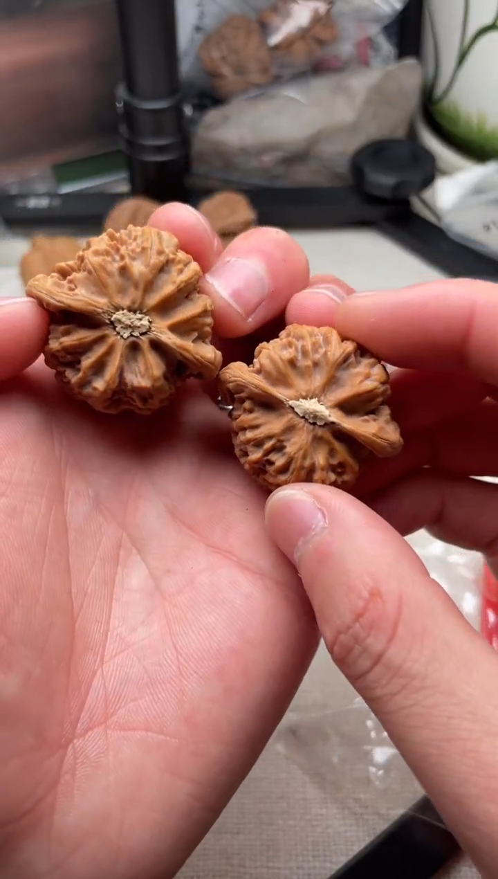 把件文玩核桃C***11204-Cyan1-宫灯