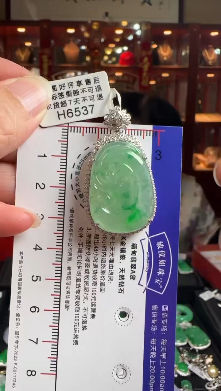 【闪购商品】翡翠颈饰18K金镶嵌H6537冰飘绿如意