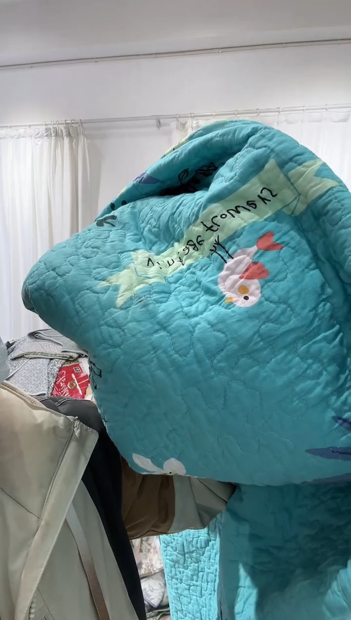 棉200*230纯棉床盖41号微瑕