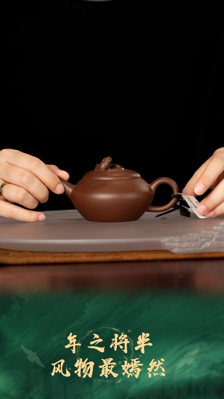 24珽珽茶器紫砂壶水平