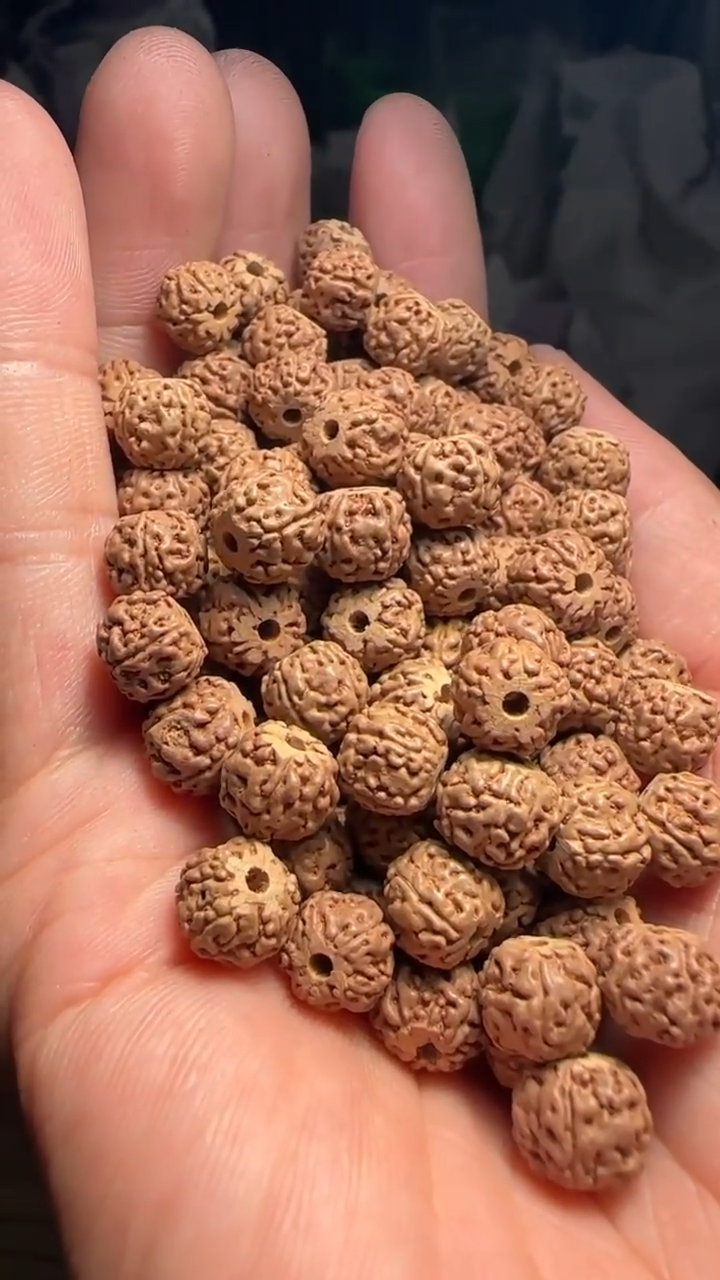 金刚菩提手串非全品龙切一代龙散籽8-9mm一份一百颗