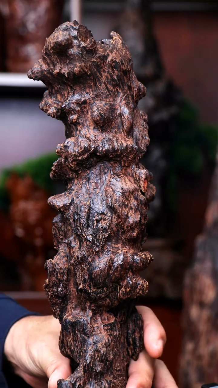 【闪购商品】降真香其他海南红降原材料