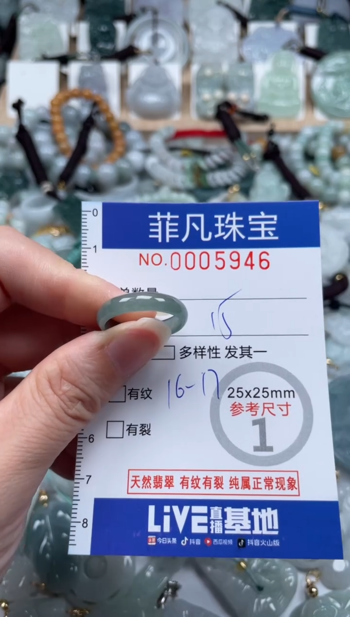 翡翠未镶嵌颈饰00..5946