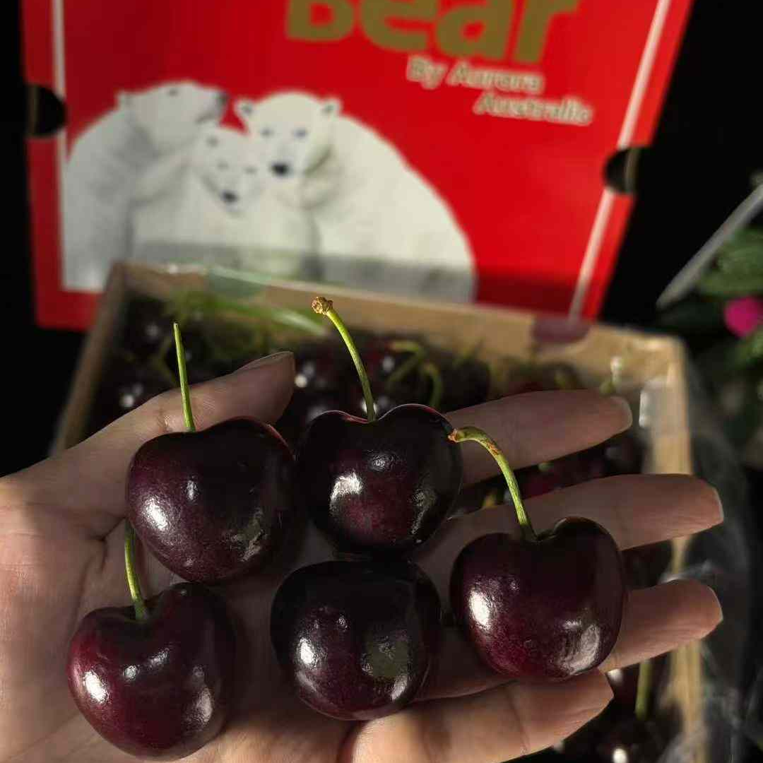 海运冰熊智利车厘子桑提娜2J 原箱2.5kg桑提娜智利