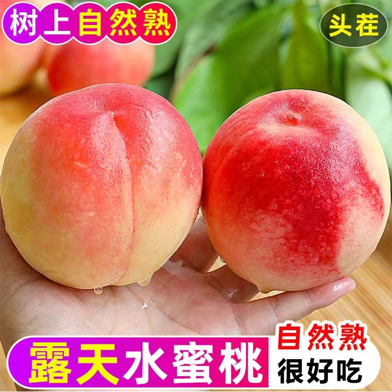 【现摘】新鲜水蜜桃 桃子 软脆两吃时令当季热卖产地直发