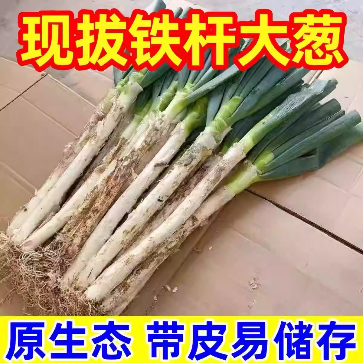 山东铁杆大葱现挖现发脆甜多汁【遇见】