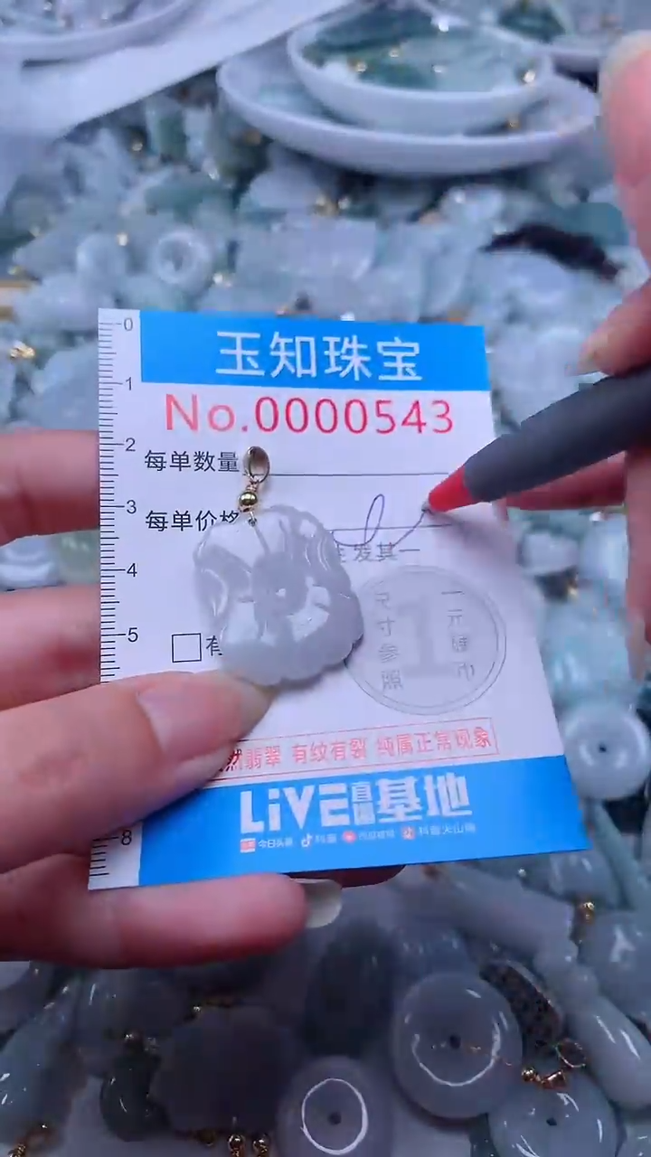 翡翠未镶嵌吊坠(不含链)543