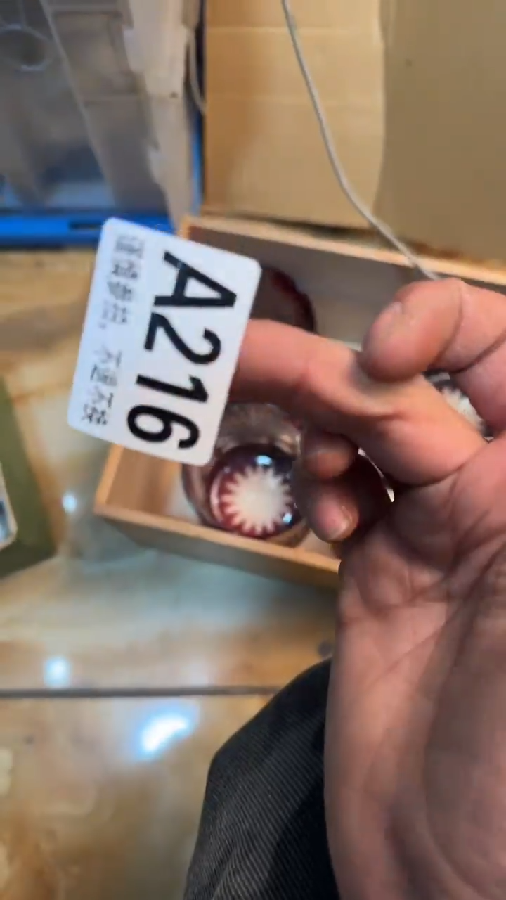 【闪购商品】茶盏8888888888     216