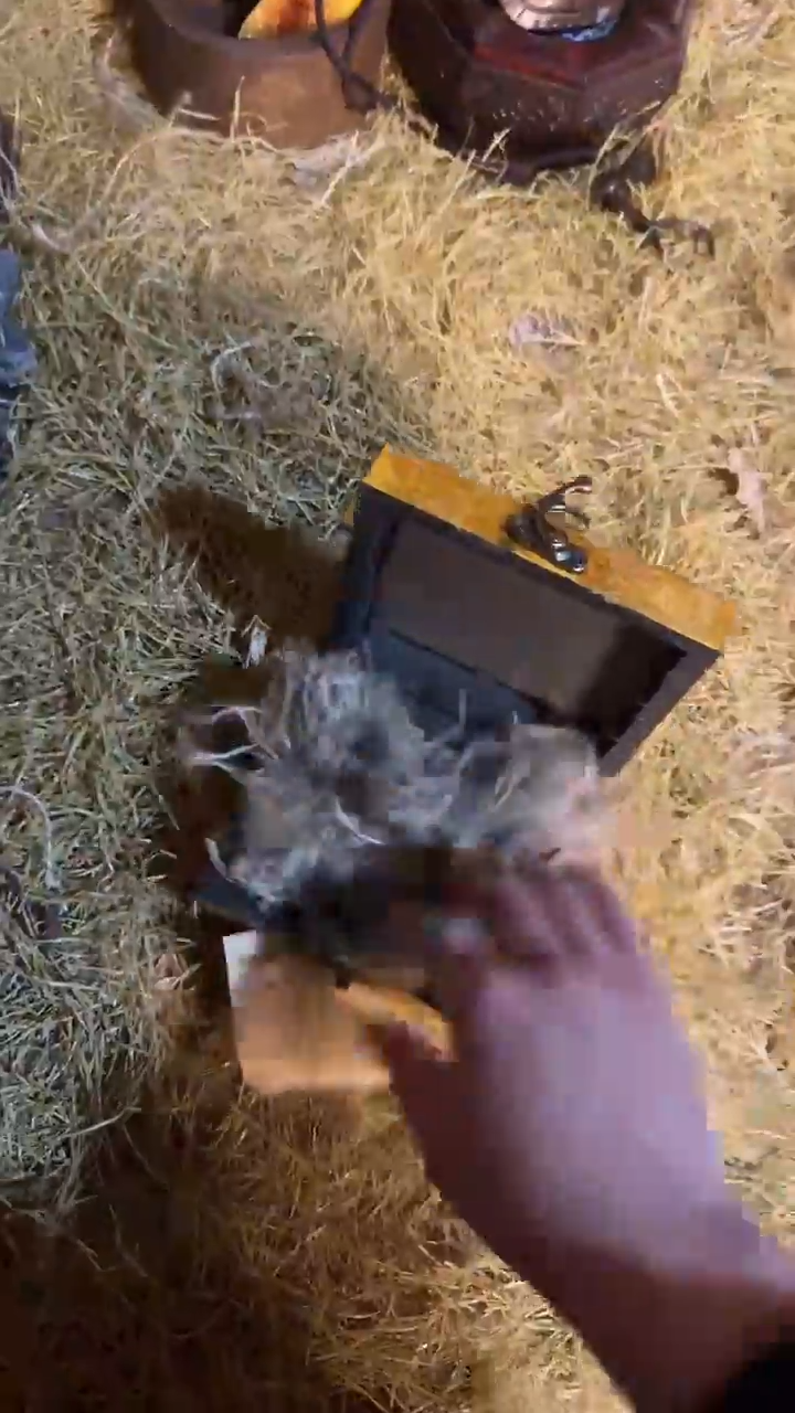 手工艺品木闪购（精品摆件链接）