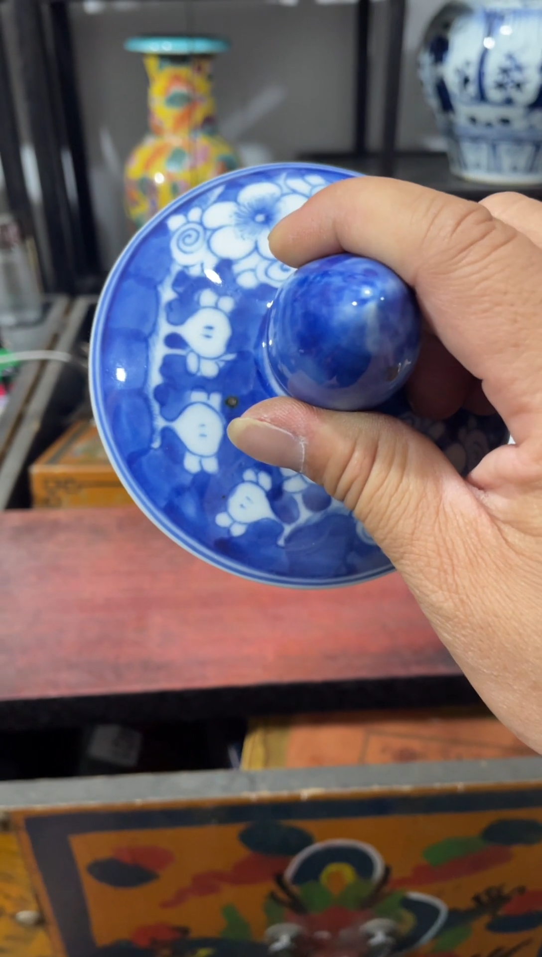 瓷片主播推荐精选好物