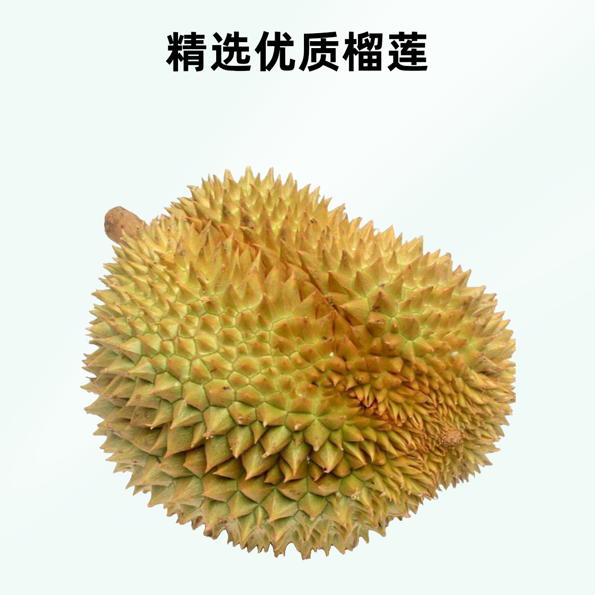 特价新鲜泰国金枕榴莲3~8斤核大核小，榴莲同城送榴莲同城送(声明：特价商品不包口感味道，慎拍）金枕泰国东部