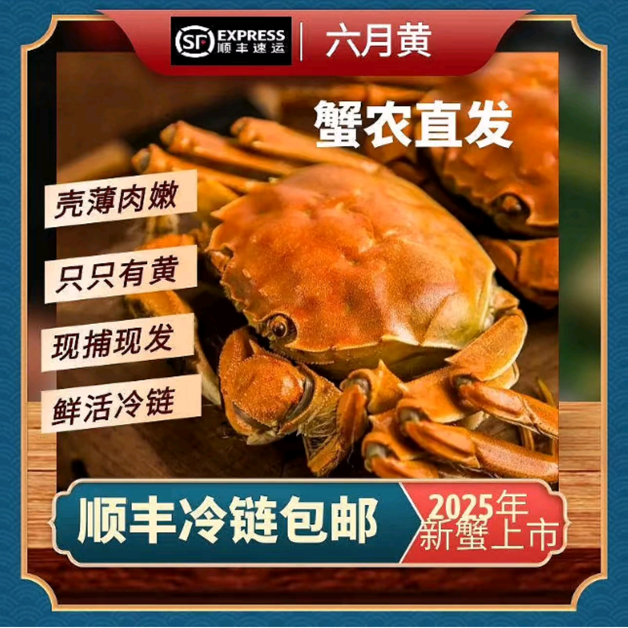 薄壳蟹1-1.3两3斤青壳蟹（全国包邮）