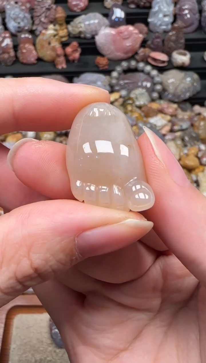 颈饰未镶嵌硅化珊瑚（珊瑚玉）447