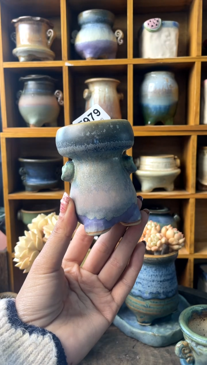 979内口5【多肉花盆多肉盆】