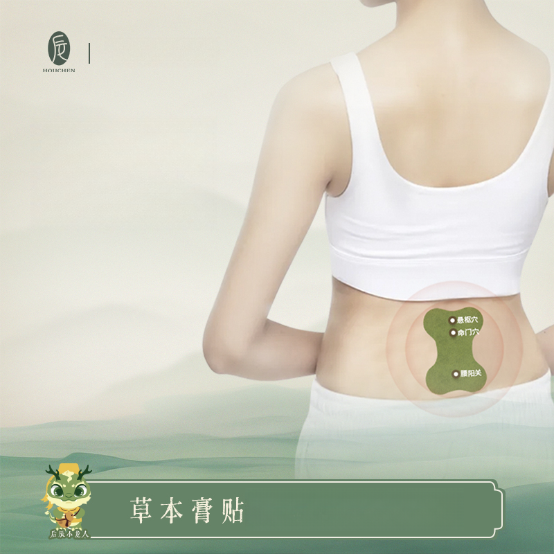 后辰【腰椎贴】艾草腰椎贴腰肌热敷艾灸贴艾绒草本温和艾绒草本贴