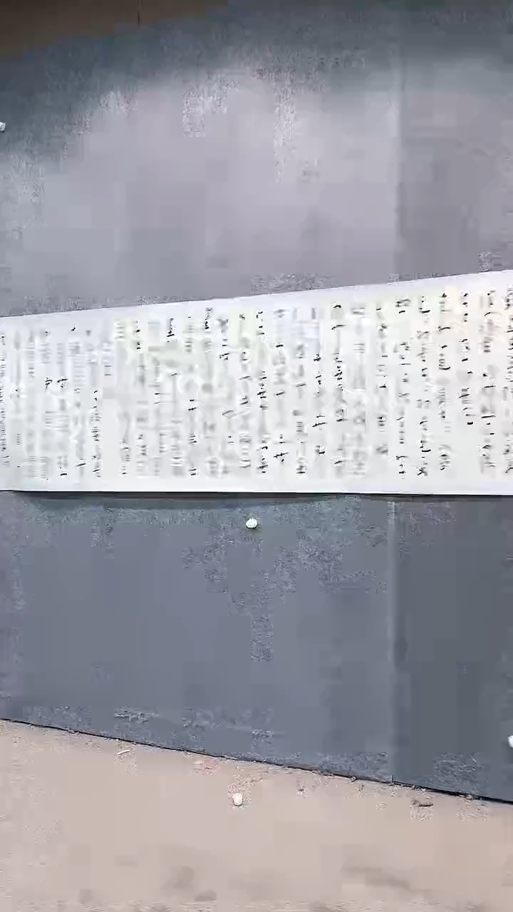 【闪购商品】书法pmw不二轩旗舰店书法ZSY44