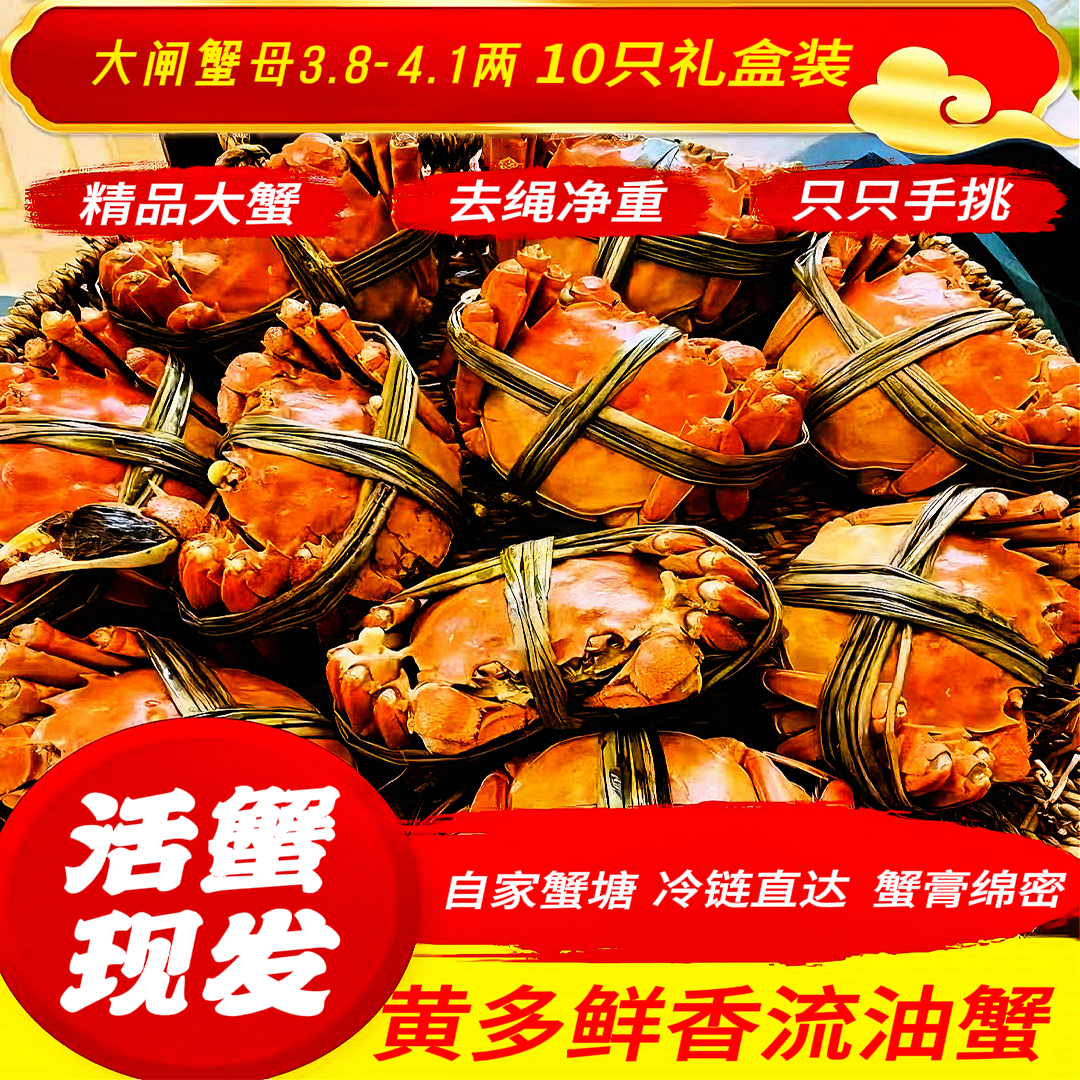 【活蟹】大闸蟹母3.8-4.1两10只装礼盒包邮到家