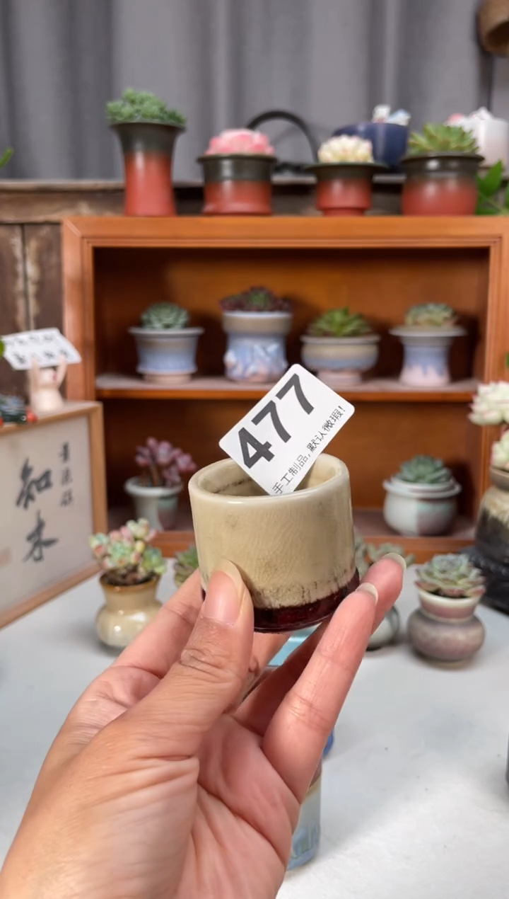 瓷片477小芳直播编号