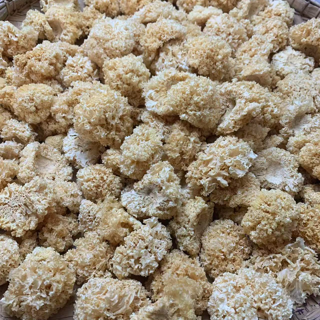 小雪现收土特产 银-耳 500克