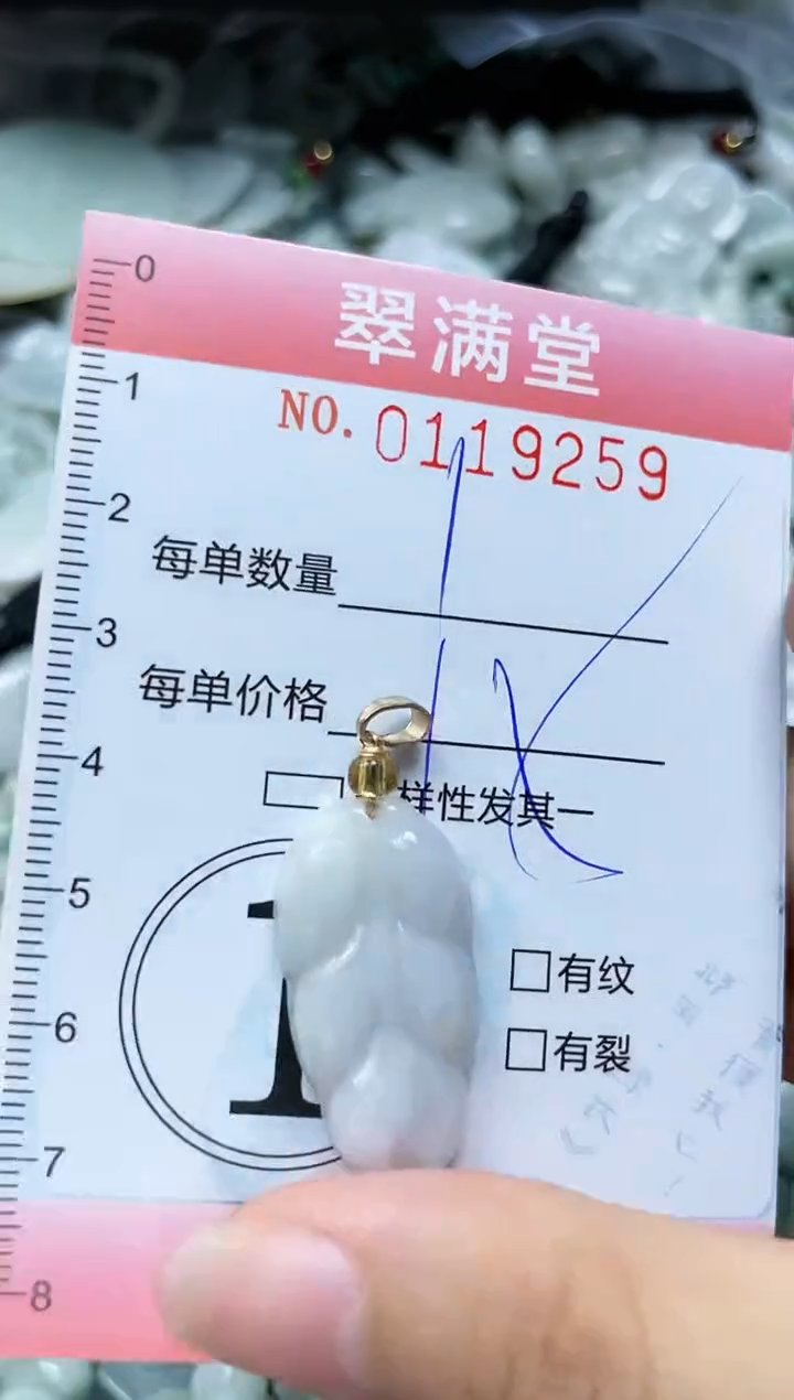 【闪购商品】翡翠未镶嵌颈饰闪购0119259