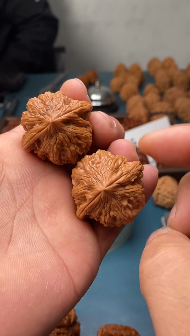 把件文玩核桃大沽石a795