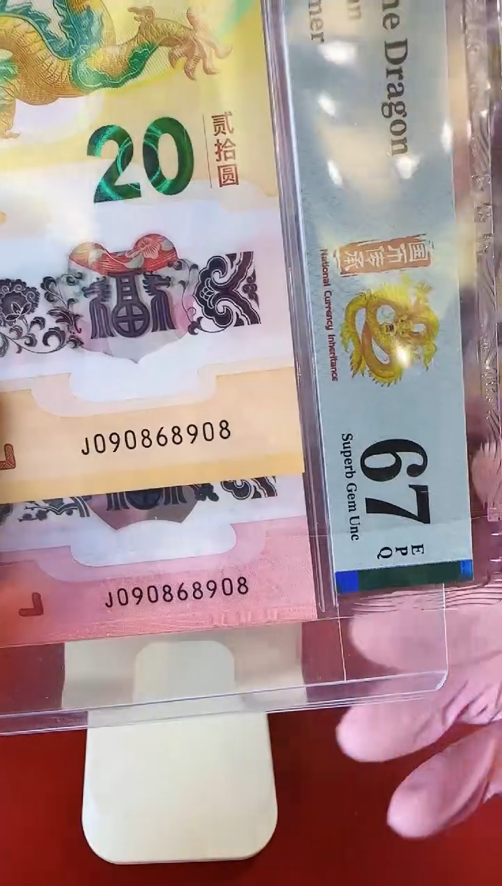 【闪购商品】塑料2025龙蛇钞全同号啊啊啊啊啊啊啊裸