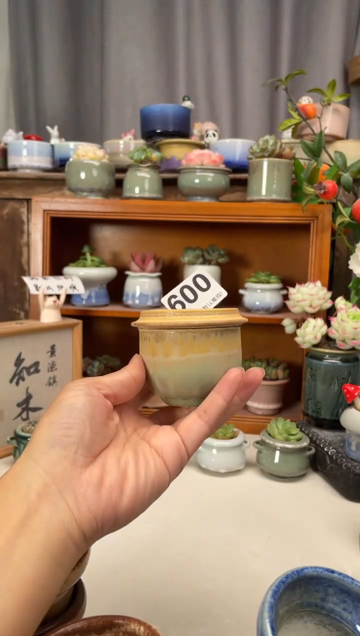 瓷片600知木花盆小芳