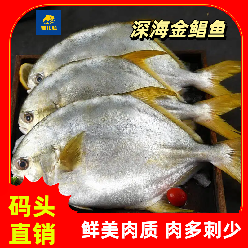 广西北部湾深海野生金鲳鱼鲜活速冻营养美味顺丰包邮