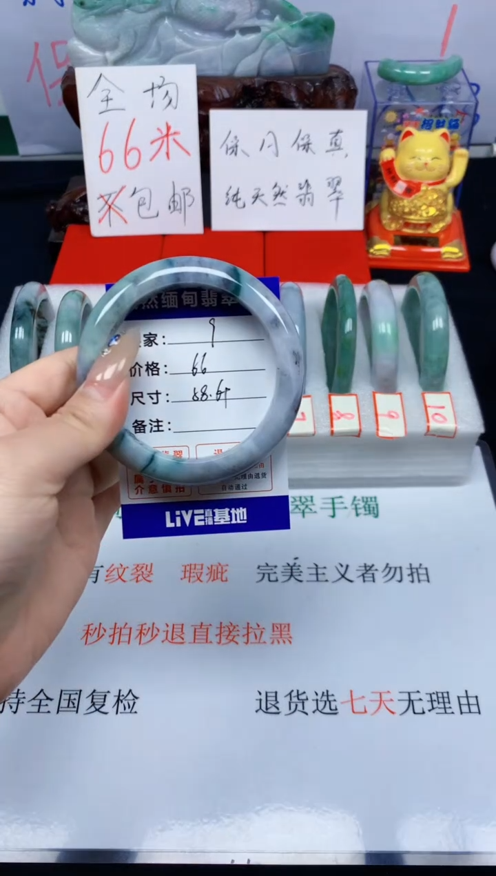 未镶嵌手镯翡翠9