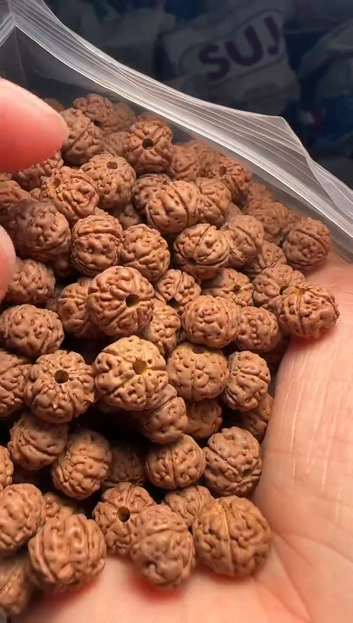 手串金刚菩提非全品老树王散籽9-10mm一份一百颗