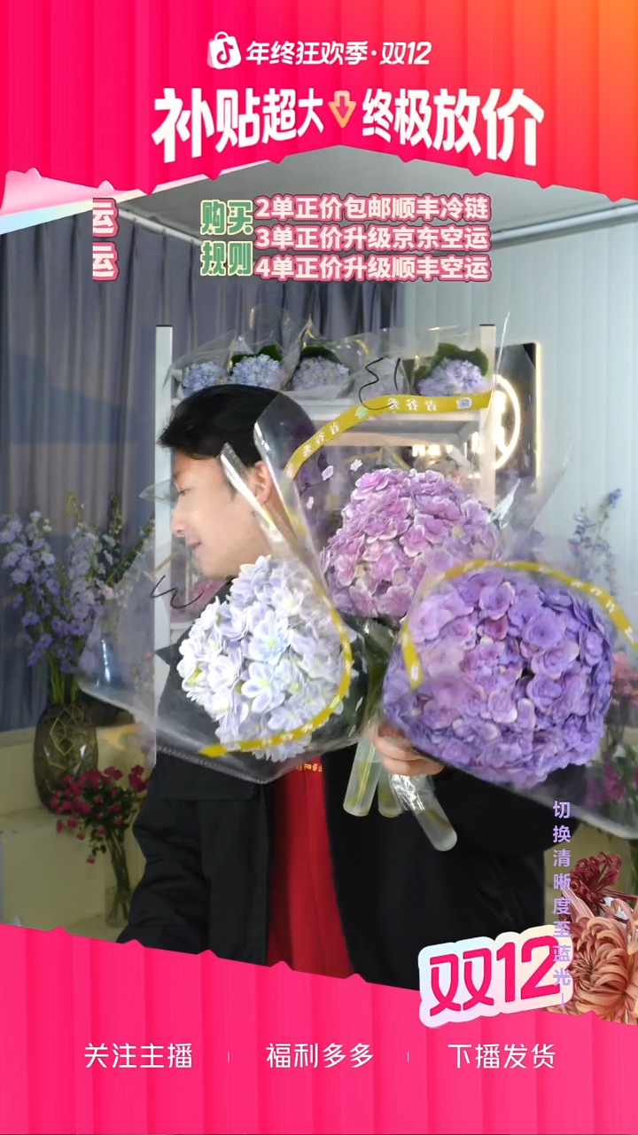 1号3枝绣球 3枝包邮冷链