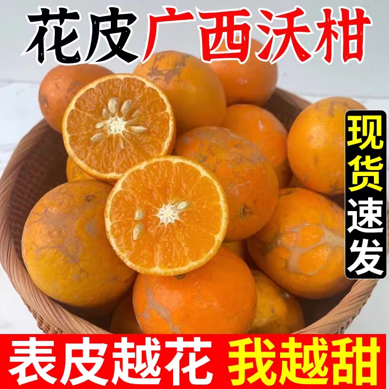 【武鸣沃柑】广西高山老树花皮沃柑新鲜应季孕妇水果甜橘爆汁桔子