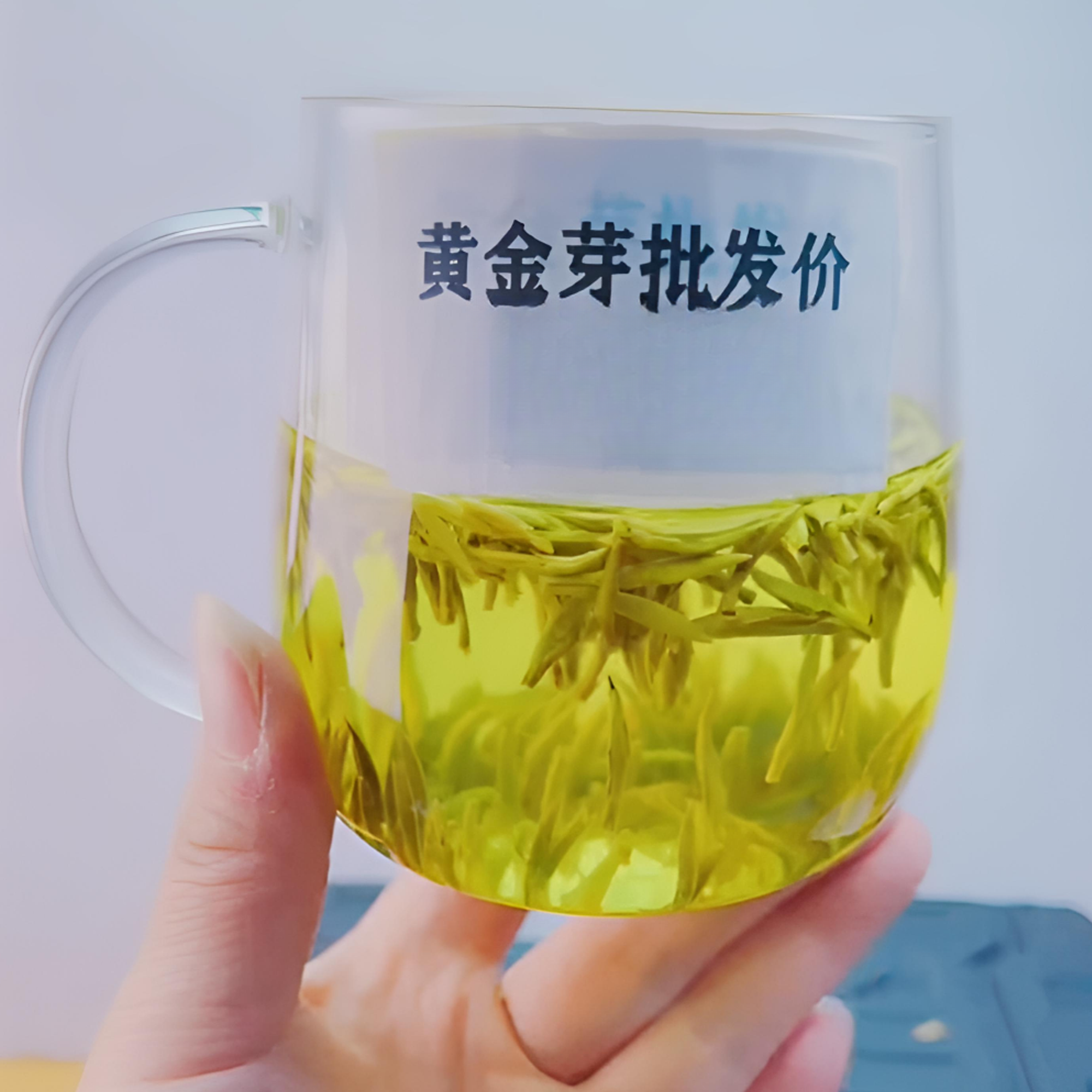 2025高山嫩芽明前头采黄金芽茶浓香型兰花香一芽一叶自己喝