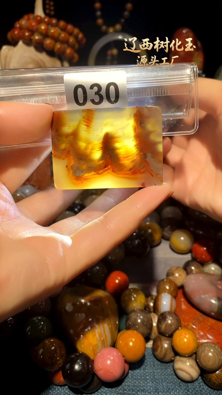 未镶嵌-硅化玉天然北票硅化玉吊坠