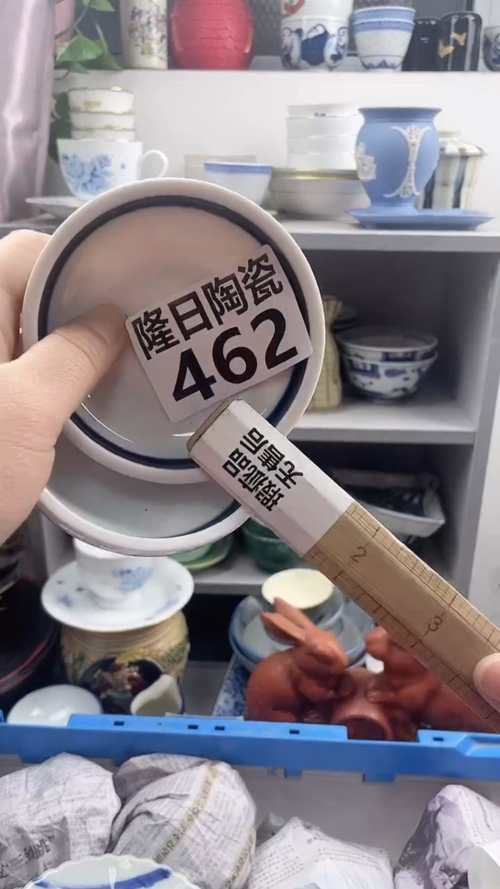 【闪购商品】瓷片462longritaoci