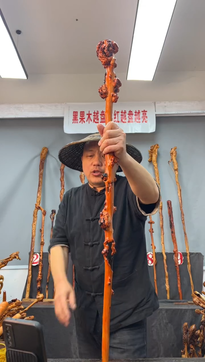 【闪购商品】黑果木其他黑果木279