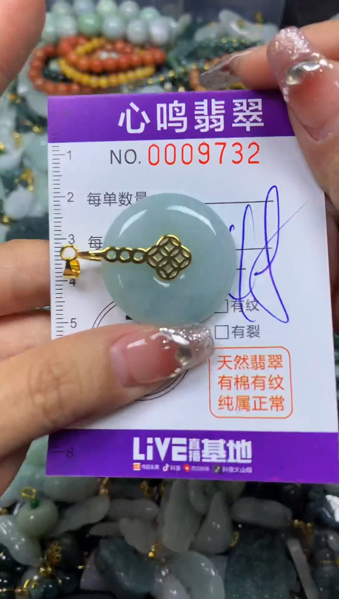 【闪购商品】翡翠颈饰未镶嵌闪购009732