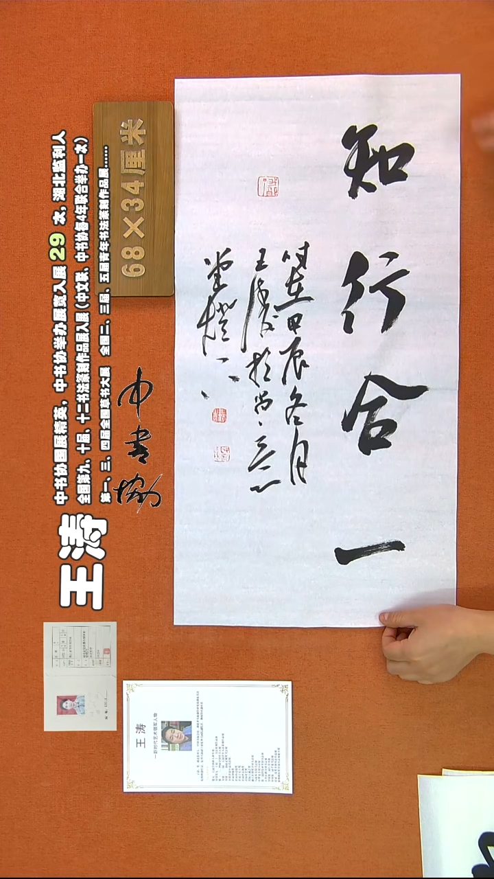 【闪购商品】书法569王涛书法作品