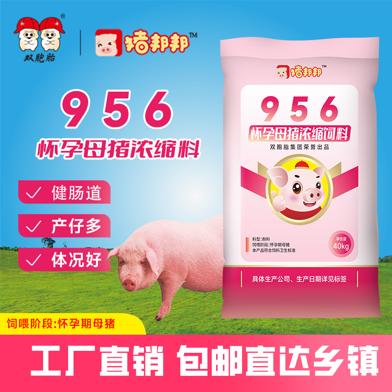猪邦邦猪邦邦/956妊娠母猪浓缩料1吨营养