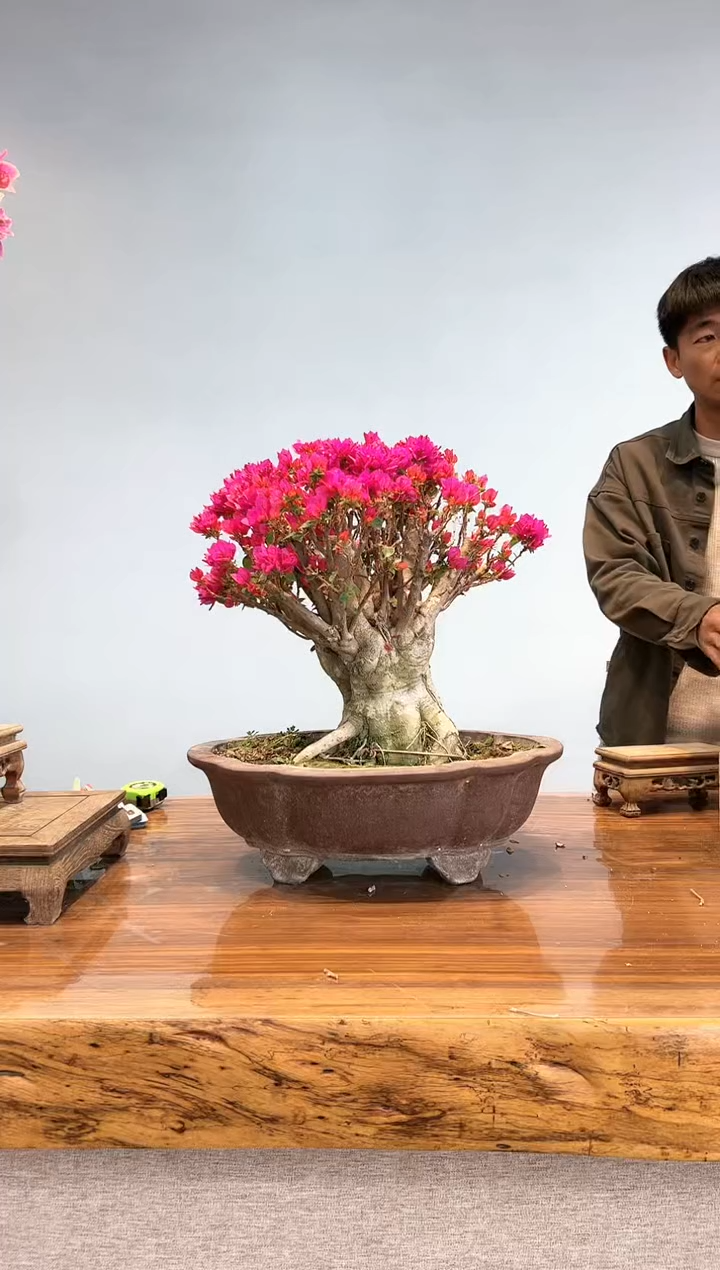 【闪购商品】aa907