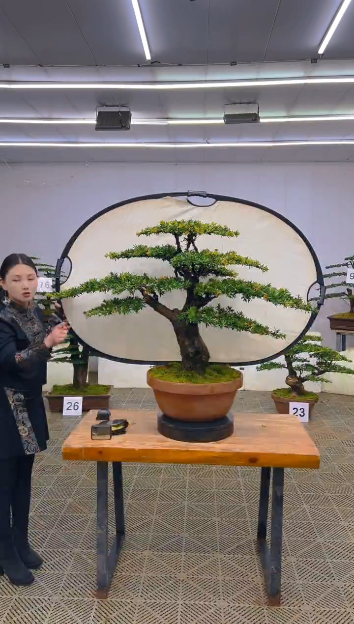 无花朵一物一拍一物一拍