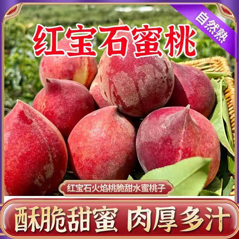 云南红宝石水蜜桃酥脆蜜桃肉厚多汁5斤现摘现发新鲜应季水果
