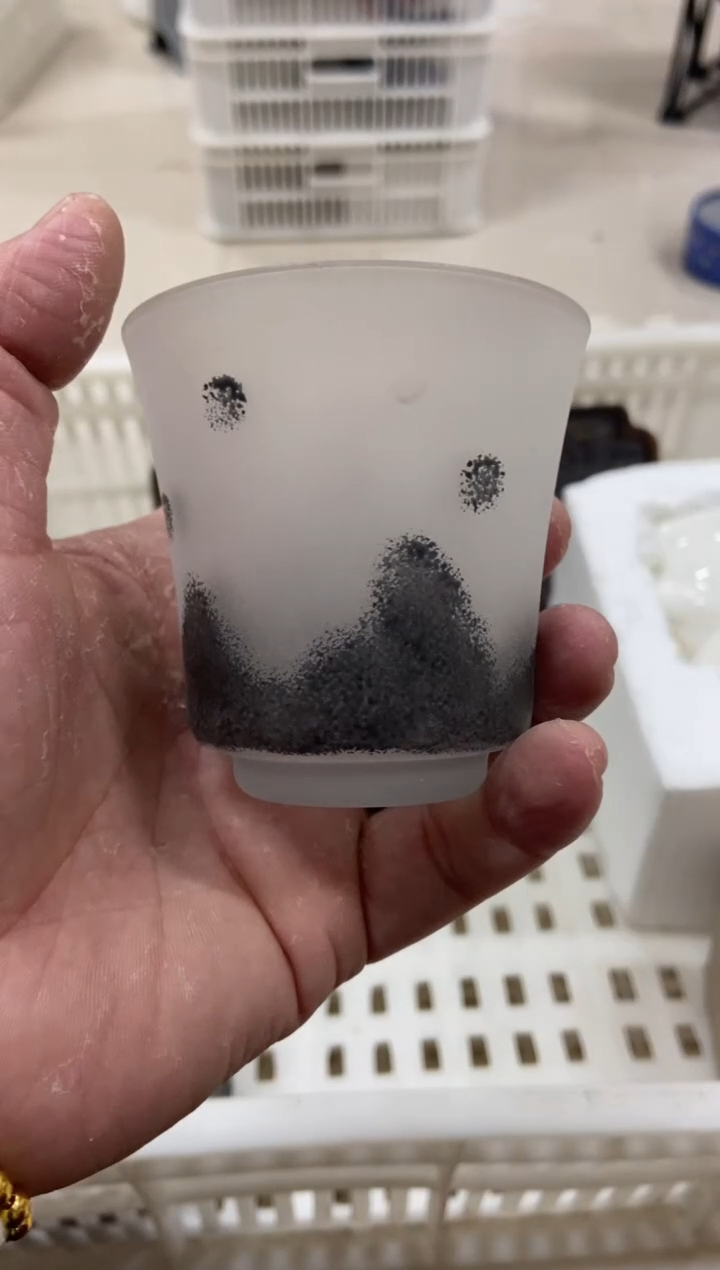杯子瓷无运费险有瑕疵的摄影的产品有使用过的痕迹有点脏介意勿拍